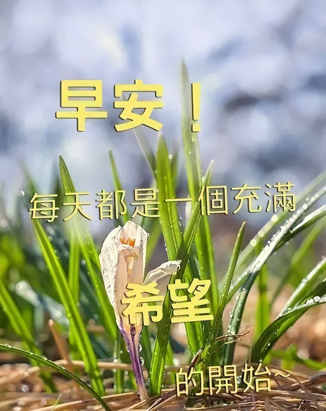 希望我的一条短信，给你一天简单而充实的幸福，早上好