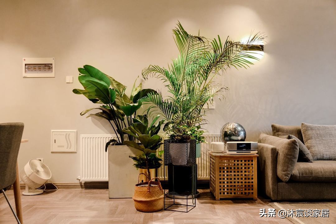 小户型焕新设计：打造温馨舒适的她的新家