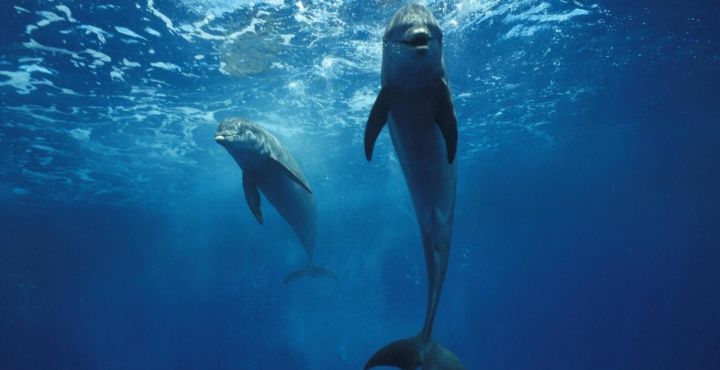 2022欧洲留学｜自然科学领域世界排名前两百大学盘点（欧洲篇）