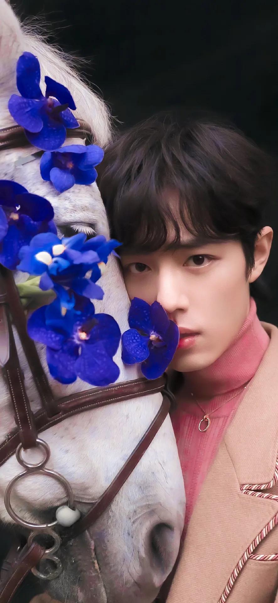 「肖战图集」帅气得超过1005分