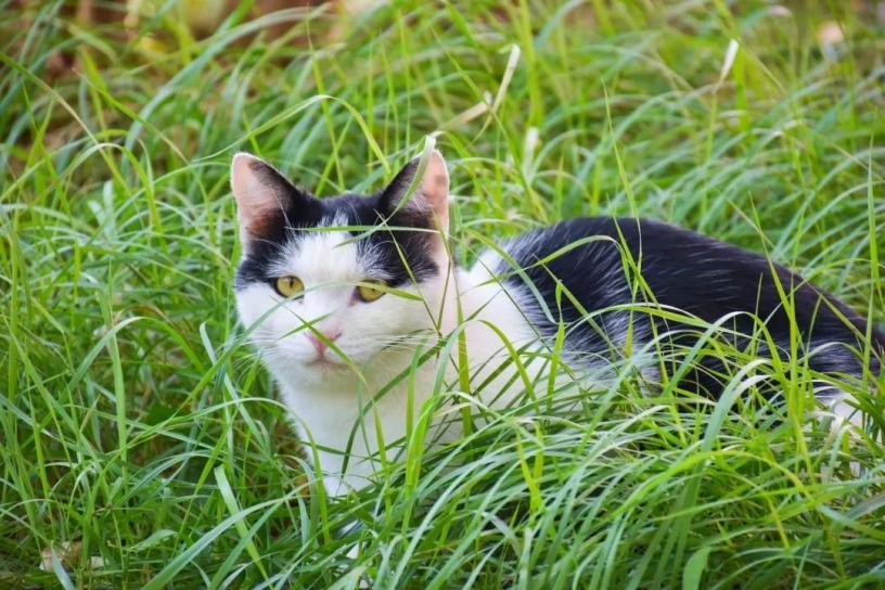 多图预警！兰大最美“校花”心动来袭，颜值超高，简直太惊艳！