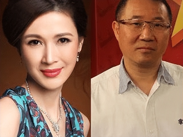 董卿老公被执行标的7.19亿，女明星的富豪老公还靠得住么？