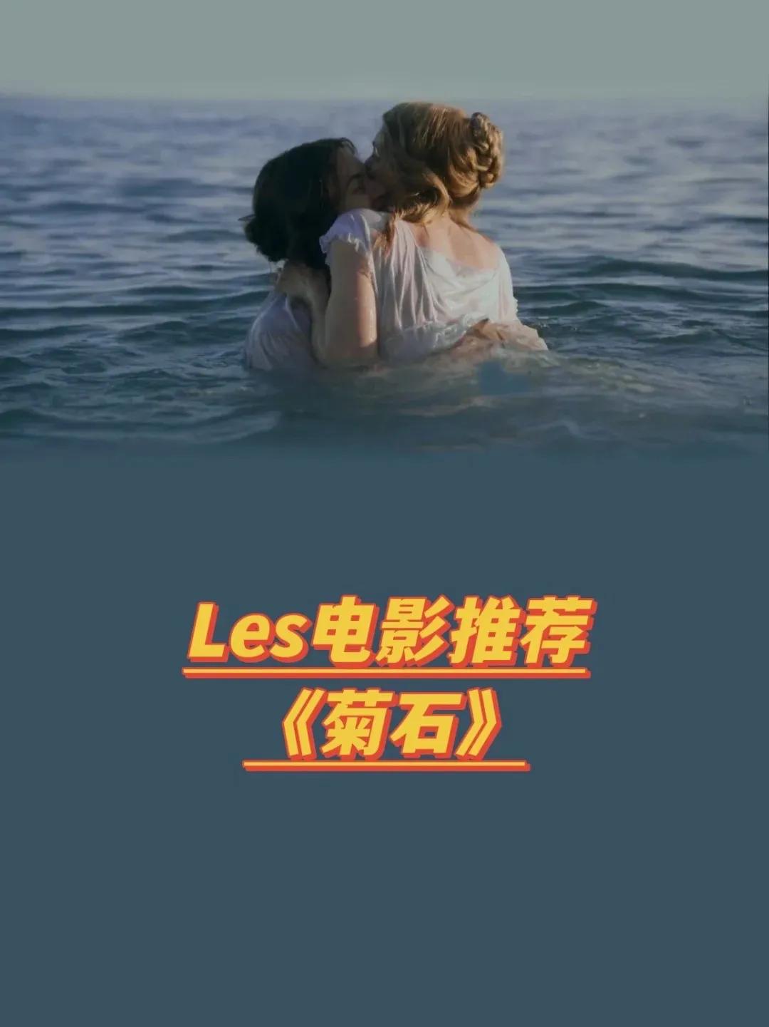 推荐好电影｜《菊石》