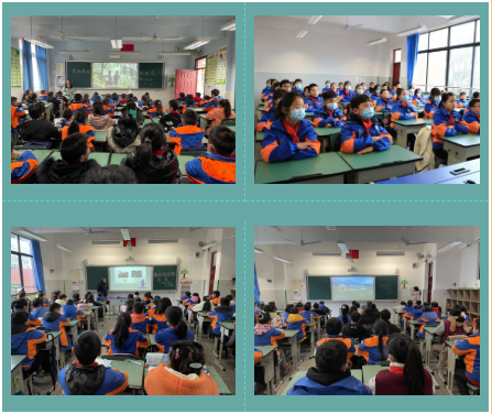 彭镇小学丨一年之计在于春 平安校园在于行