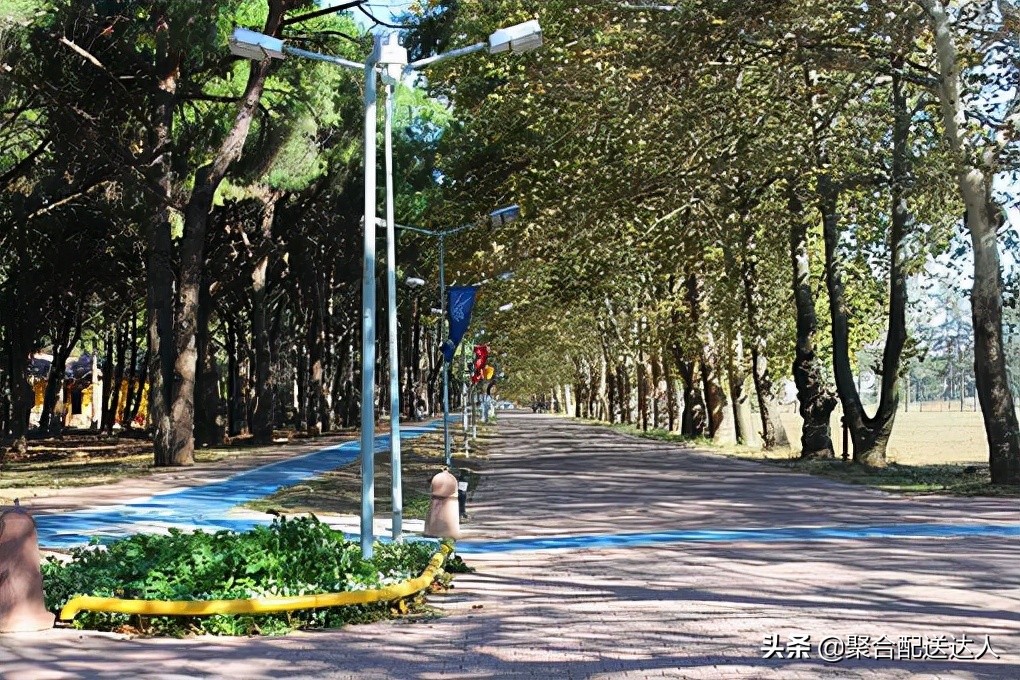 想要在本地建立自己的外卖平台，该从何入手？