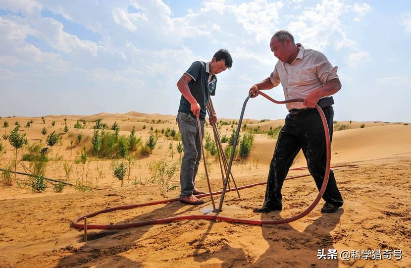 收复失地(中国正在收复“失地”，一年收复一个深圳的面积，连沙漠也能消灭)