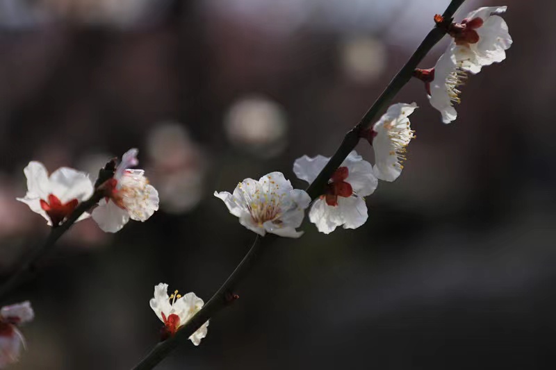 好句子不在多，《菜根谭》里最通透的20个句子