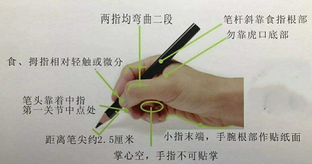左手写字的握笔方法图图片