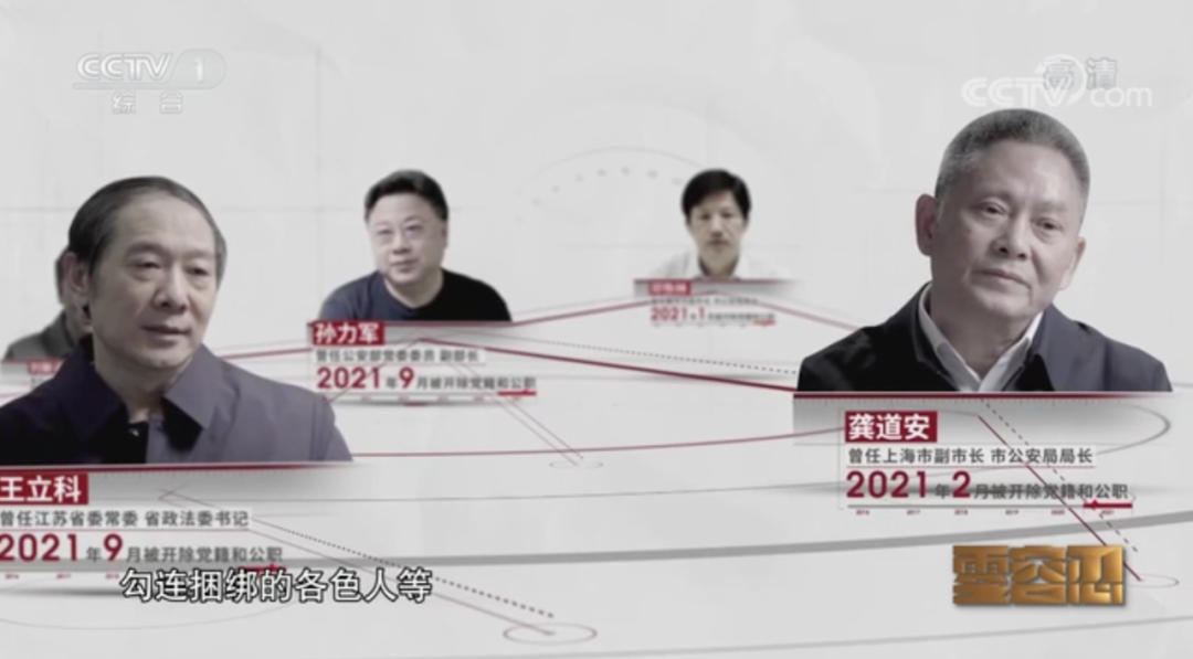 首次披露！正部级“老虎”参加副部级“老虎”的政治同伙