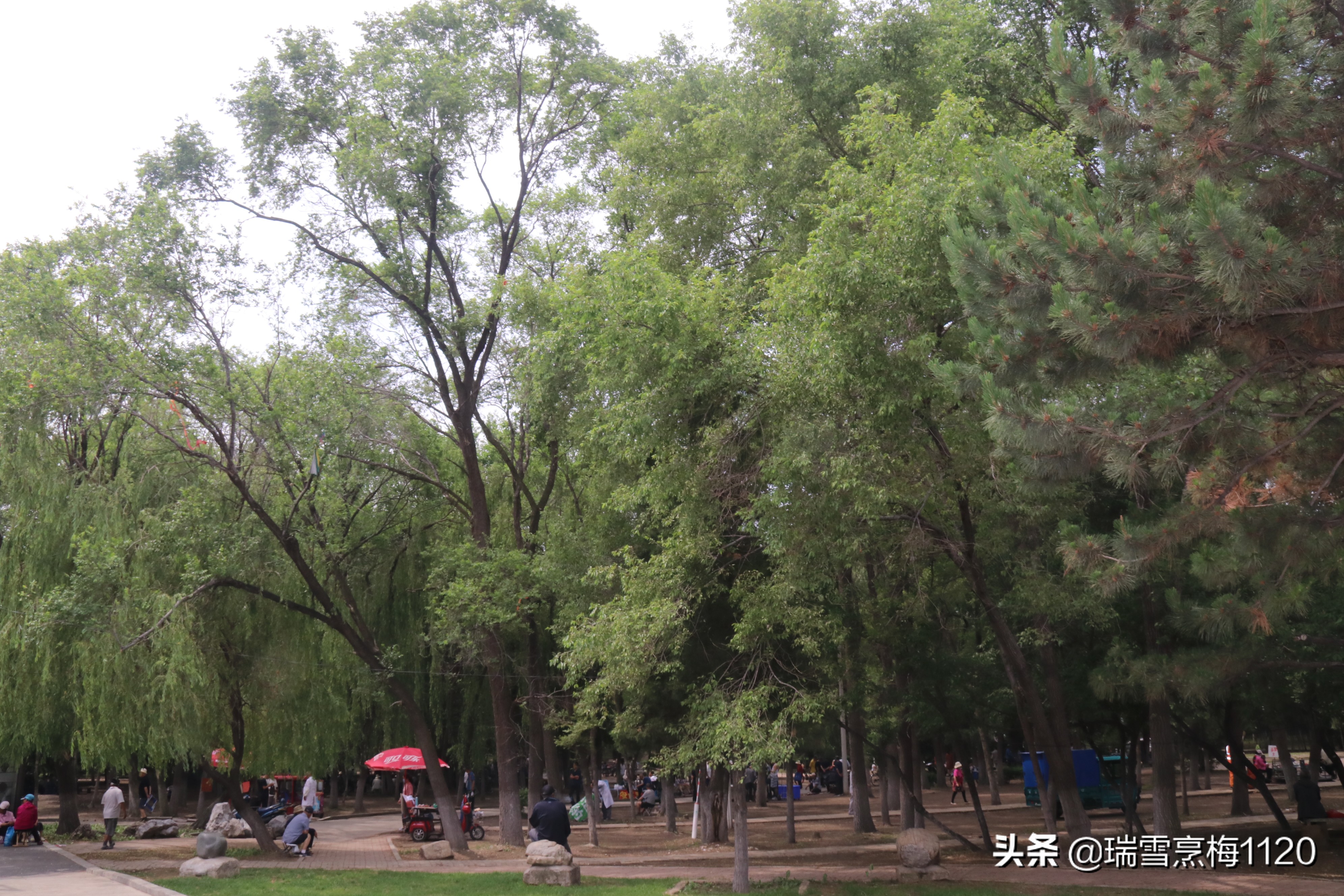 地名档案 | 沈北新区虎石台街道：宁王伏虎之地