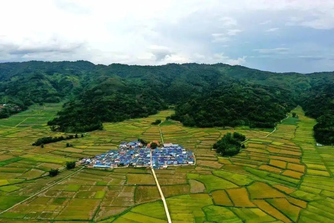 参加西双版纳州县（市）中青年干部培训班心得体会