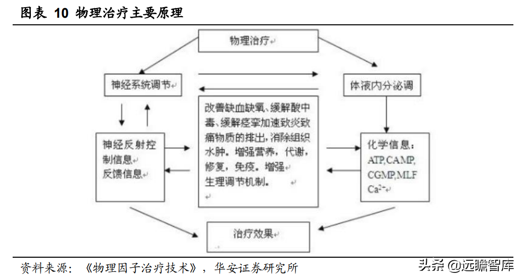 领先构建磁刺激技术平台，伟思医疗：战略卡位运动康复与消费赛道