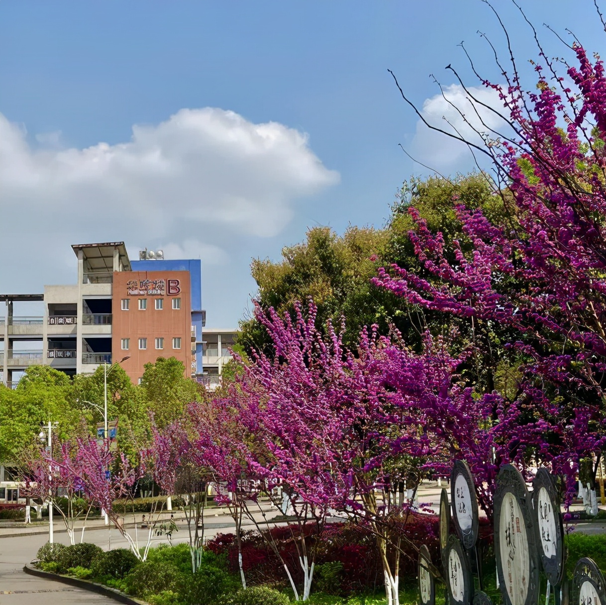 校园百花争明媚处处风景入画来重庆市渝北中学校