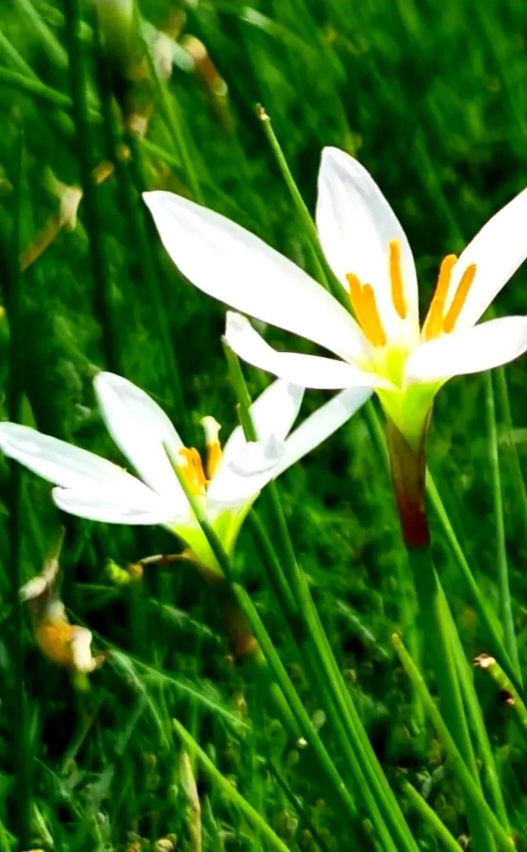 建筑业企业资质管理规定