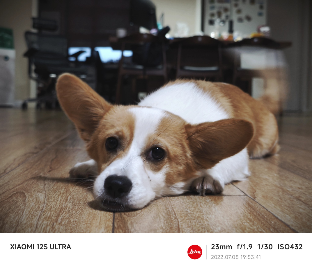 小米12S Ultra取代华为Mate40 Pro成主力机，不吹不黑，优缺点明显