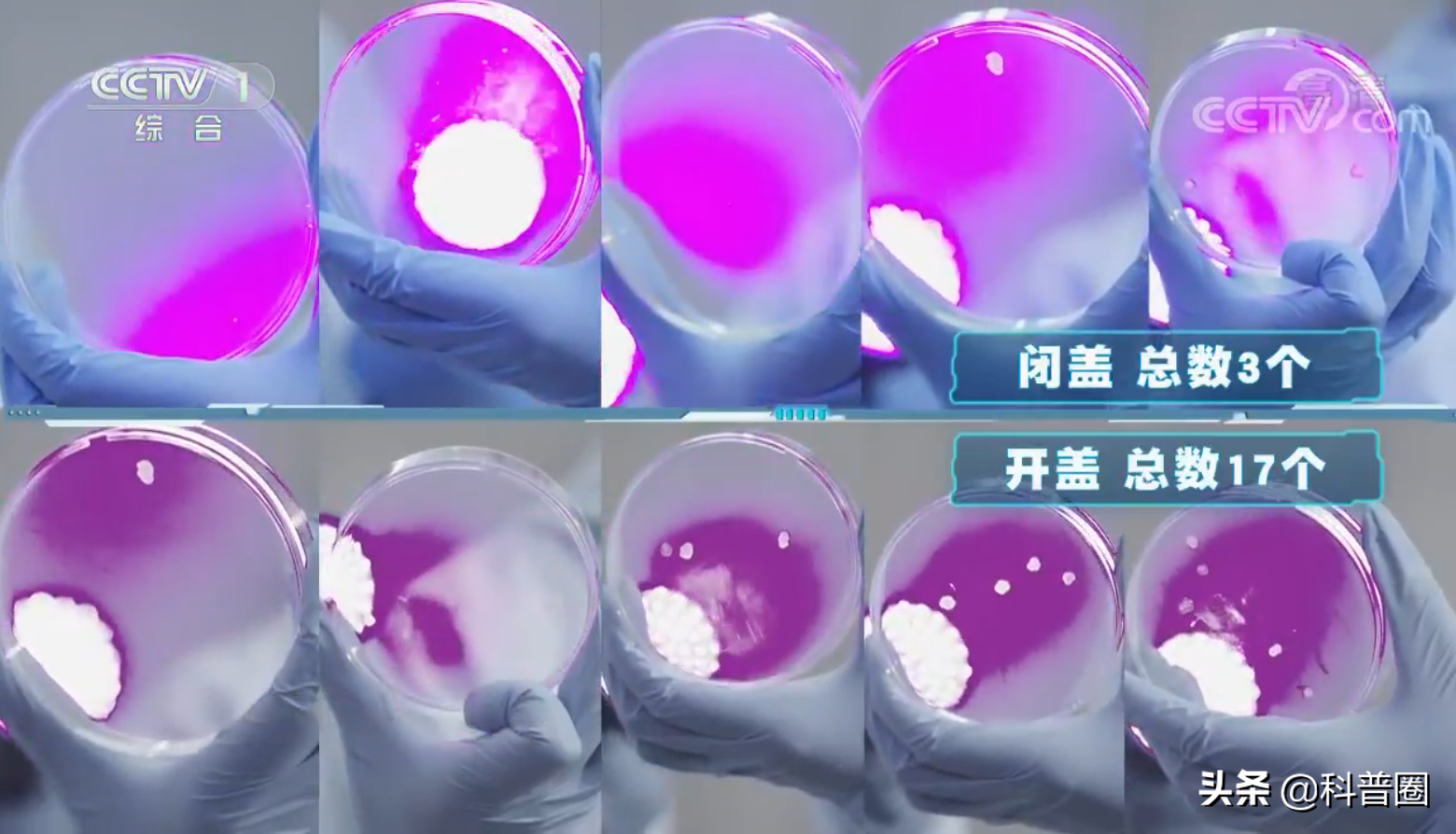 沖馬桶，蓋？還是不蓋？別糾結了，央視的一個實驗告訴你真相