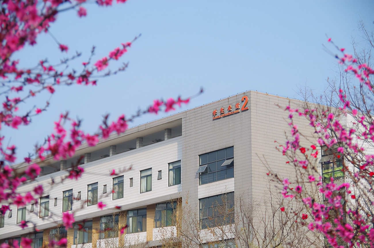 统考+校考！山东艺术学院发布2022年本科招生专业考试公告