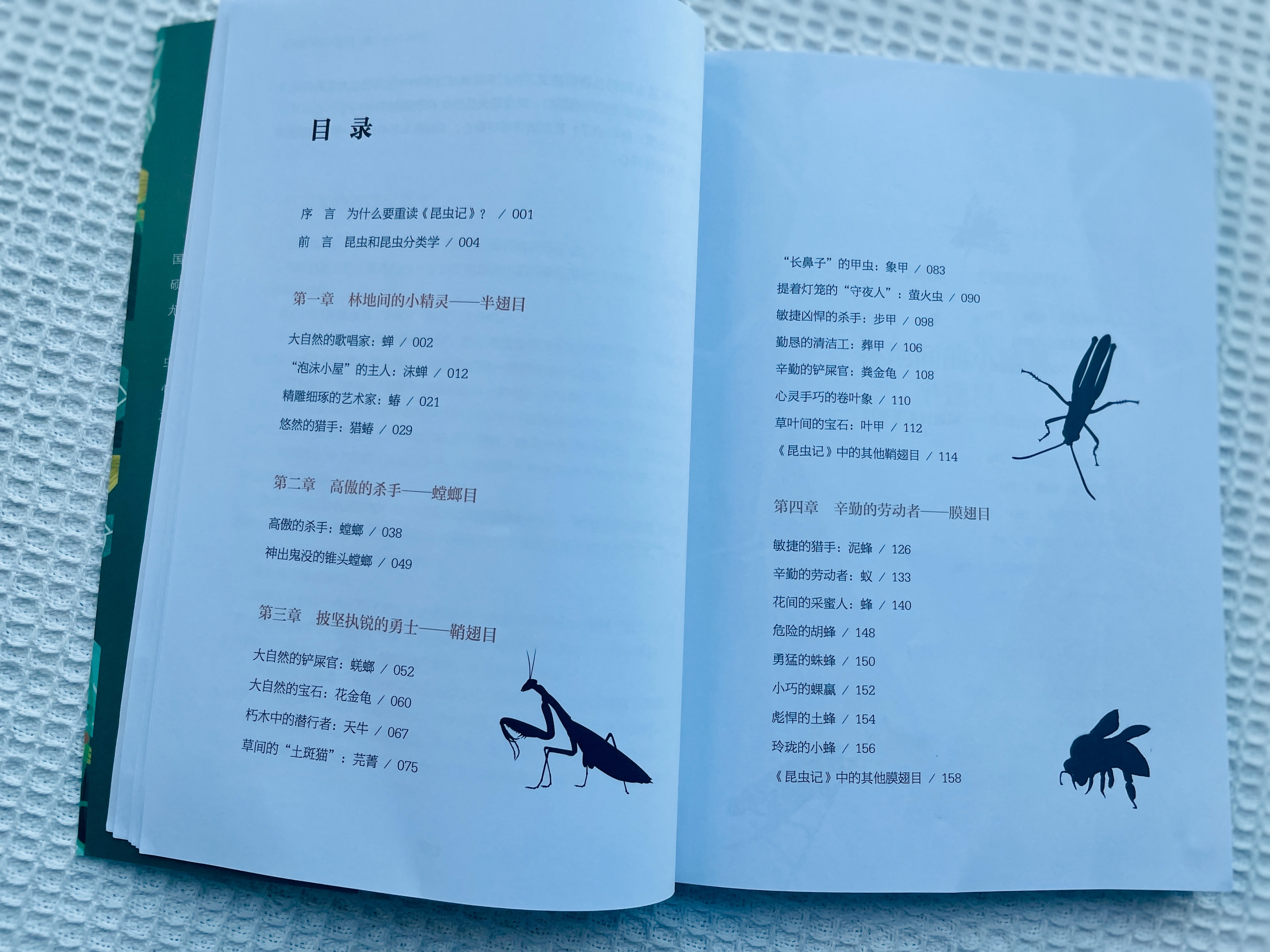 《昆虫记》是孩子必读书，但若应付考试，就错过了提升能力的机会