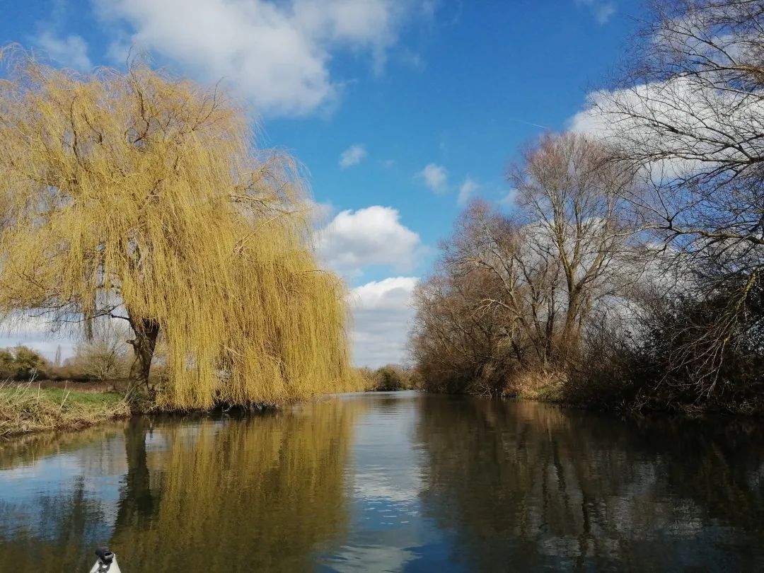 一不小心，发现剑桥给我撑船的男孩子，是剑桥的物理学家...