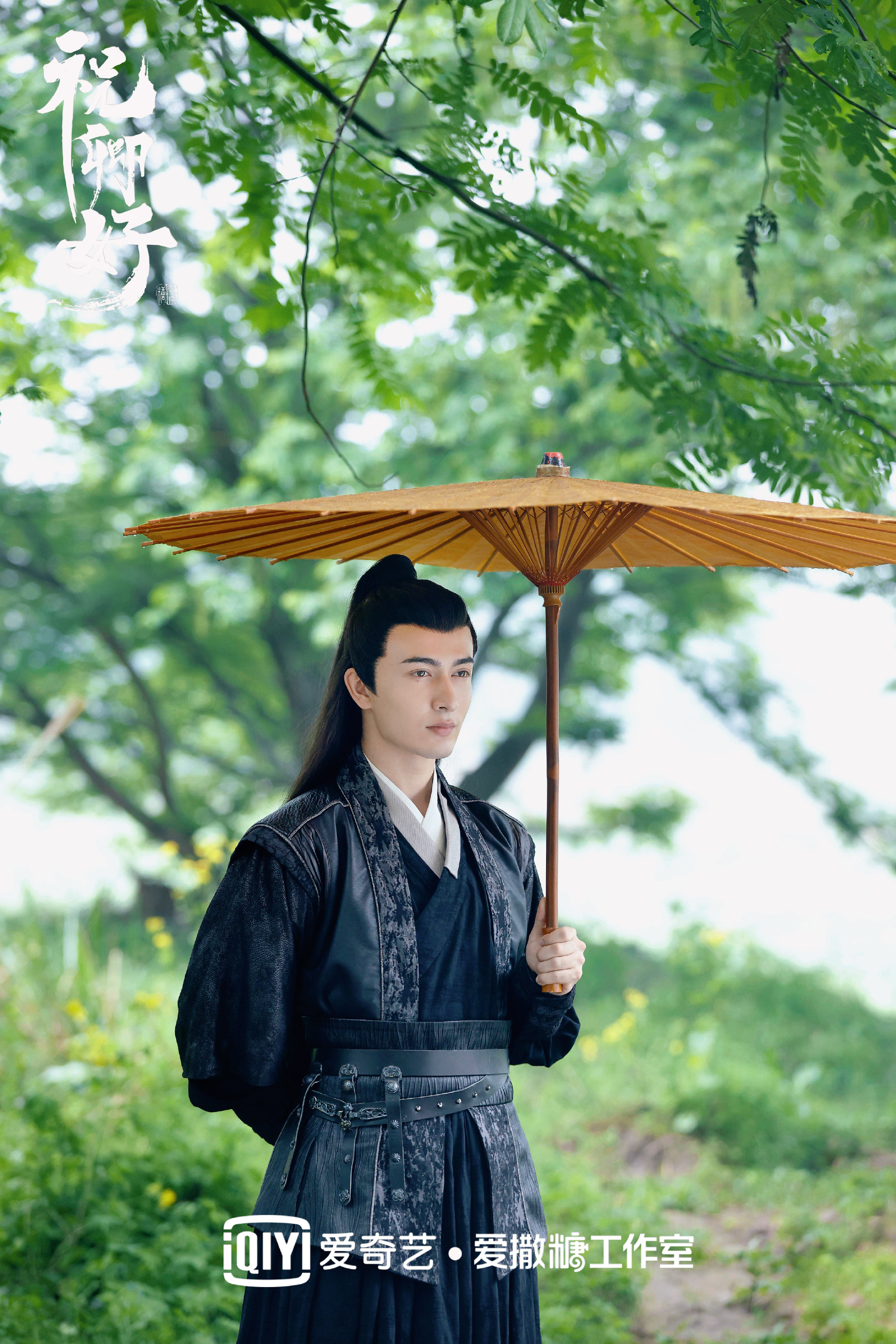 Iqiyi 1  -  2 5月举行：莱吉亚伊，陈飞宇，谭军，郑义城等