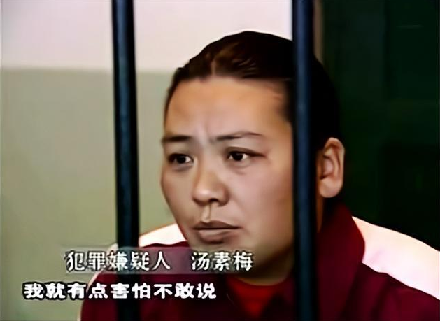 2004年，13岁女孩离奇失踪，被发现时身穿红衣躺在别人的坟墓中