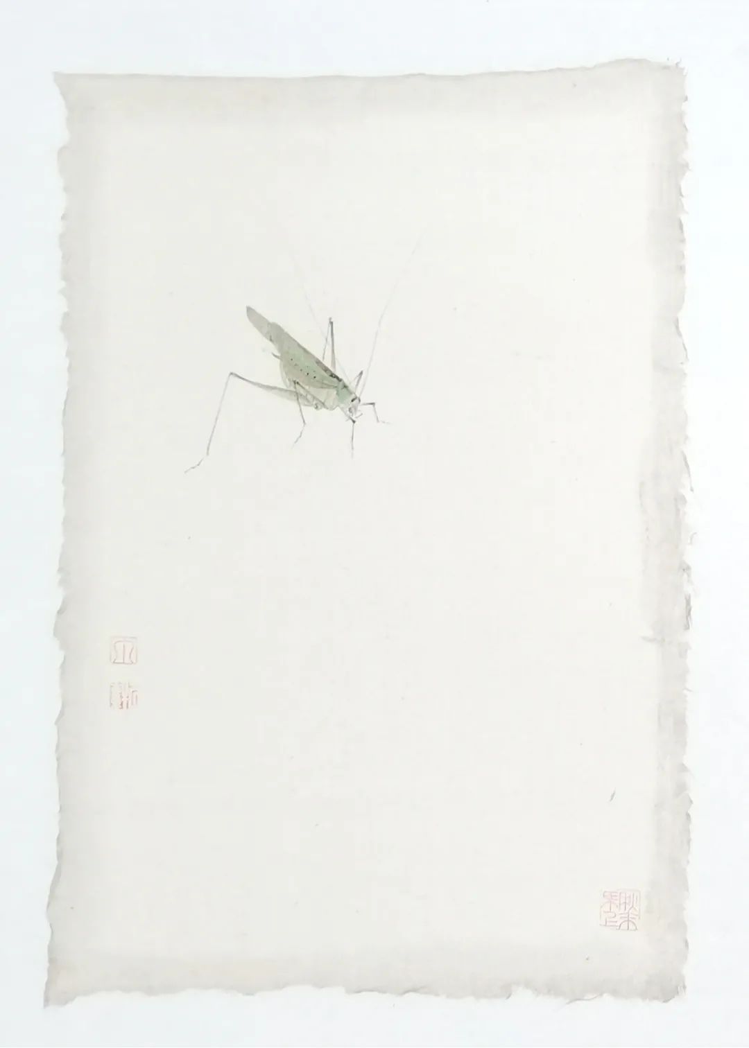 款款翩翩，不疑春深画中