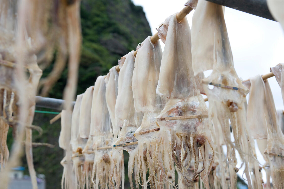鱿鱼干怎么泡发（教你一招鱿鱼干泡发又快又好）