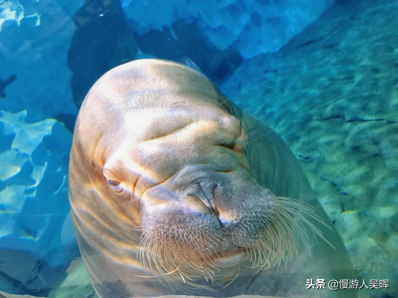 我和海南的约惠丨海南环岛西线自驾，小众体验，风光美食无限好