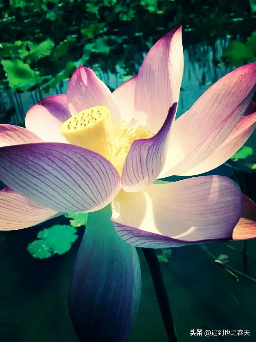 花6万元装修了乡下房子，打算以后回老家养老，然而现实却打脸了