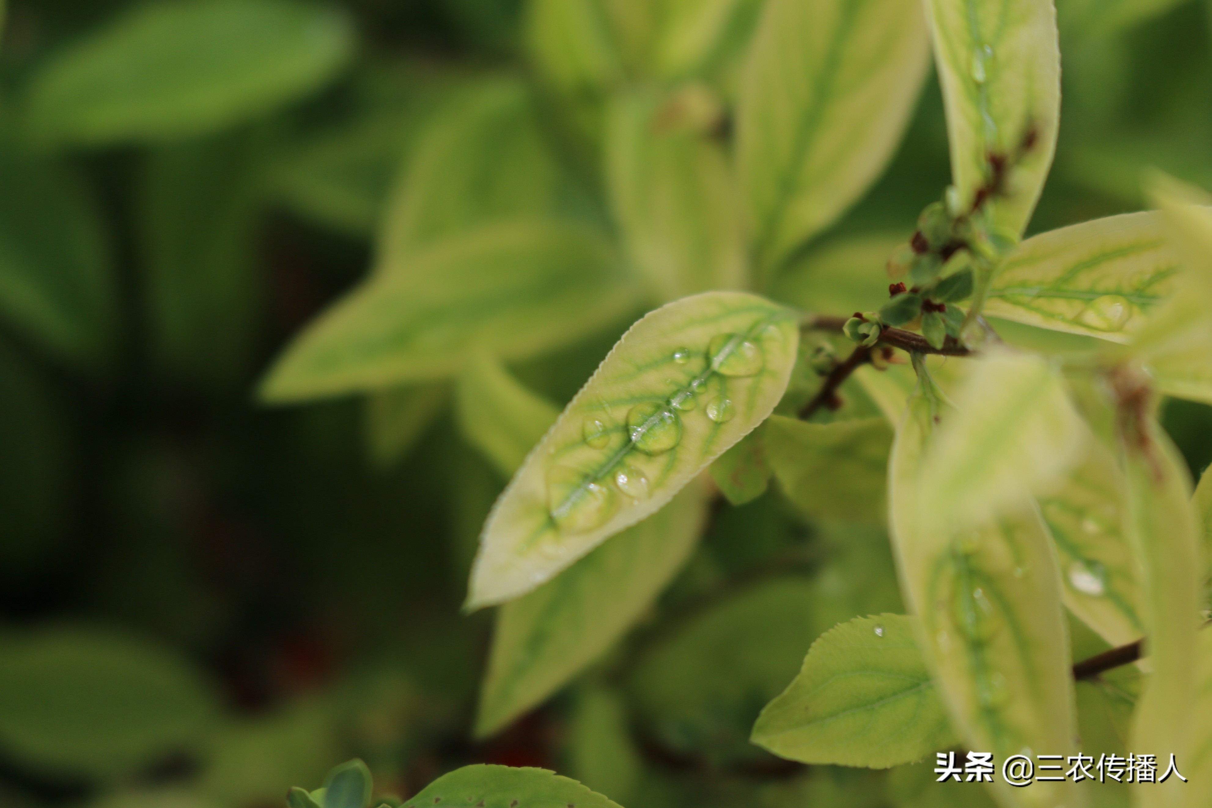 高考将至 | 用照片带你领略中国农业大学~ 是你向往的大学吗？