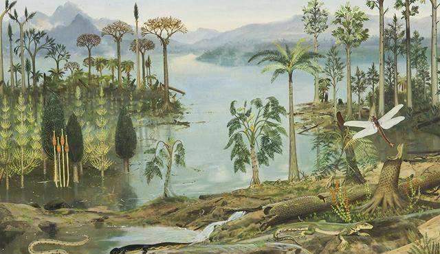 �й�����ֲ���̻�����ˮ��Դ��ȱ����ѧ�ң��ȿ�һ������ѷ����