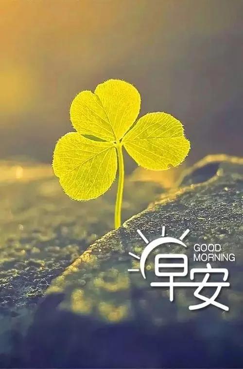 让你受益一身的“老话”