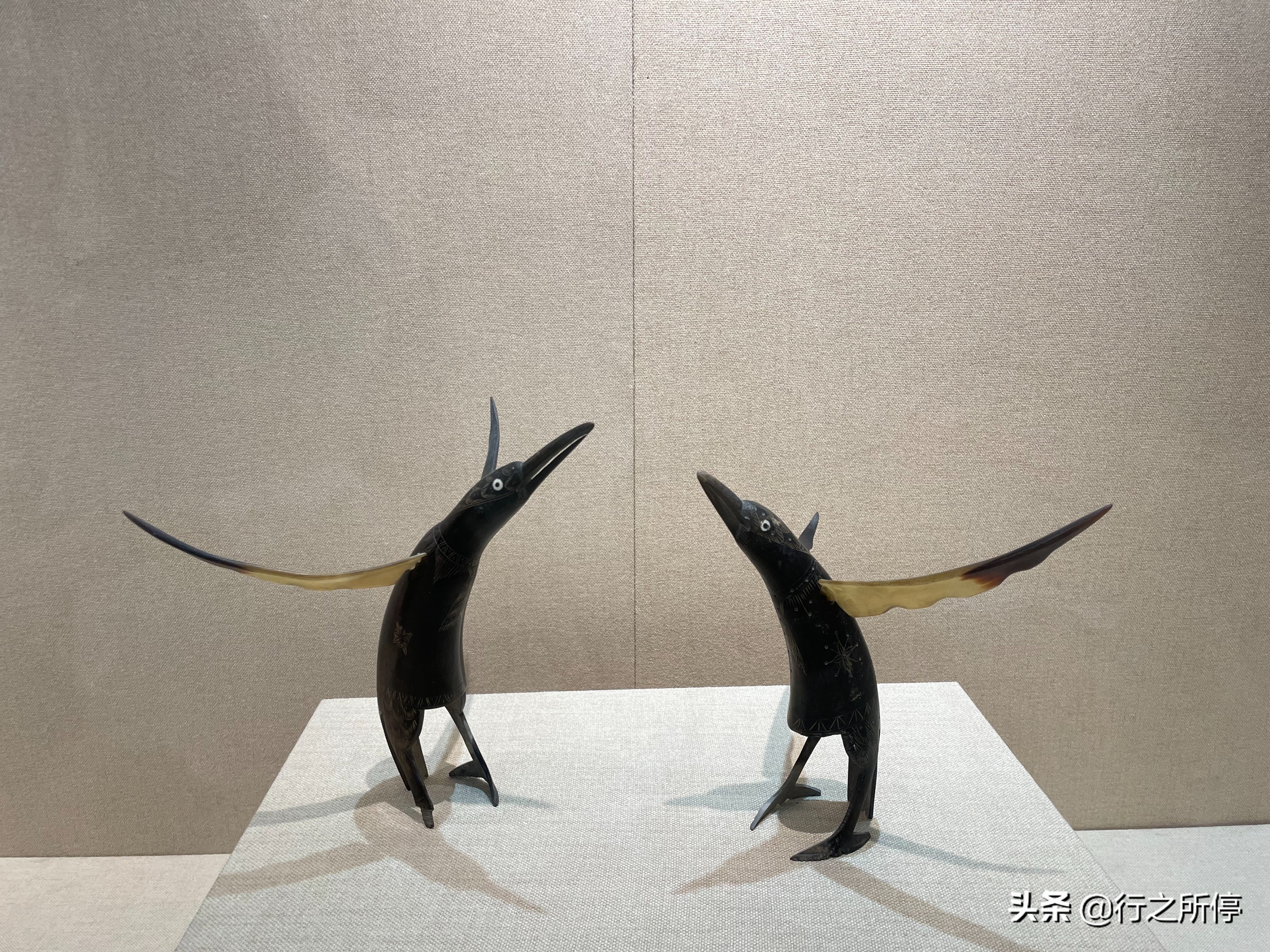 “中国最美大学”厦门大学博物馆开门了？还有惊喜的夜游活动