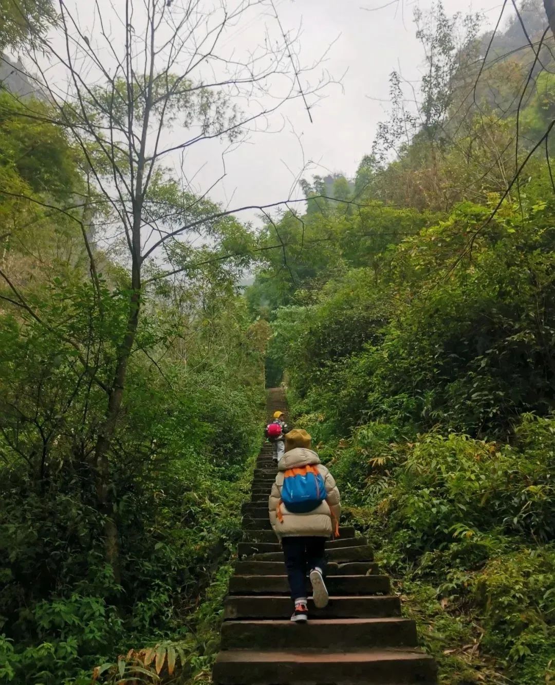 成都周边一日游(1.5h就到！去这个小众地爬山吸氧、看山间石刻佛像、吃生态美食)