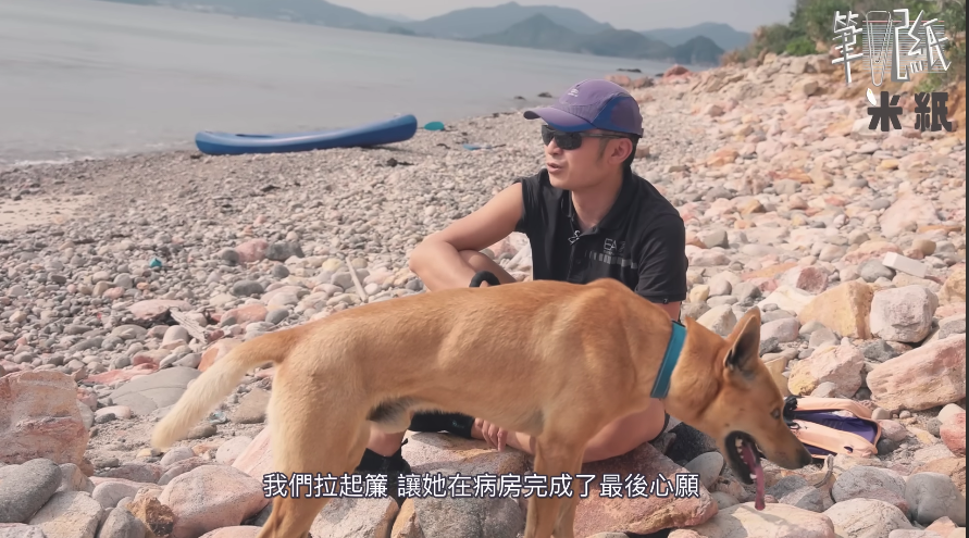 脑科医生不买房、拒住大别墅、花光积蓄买30㎡的船：脑子很清醒！