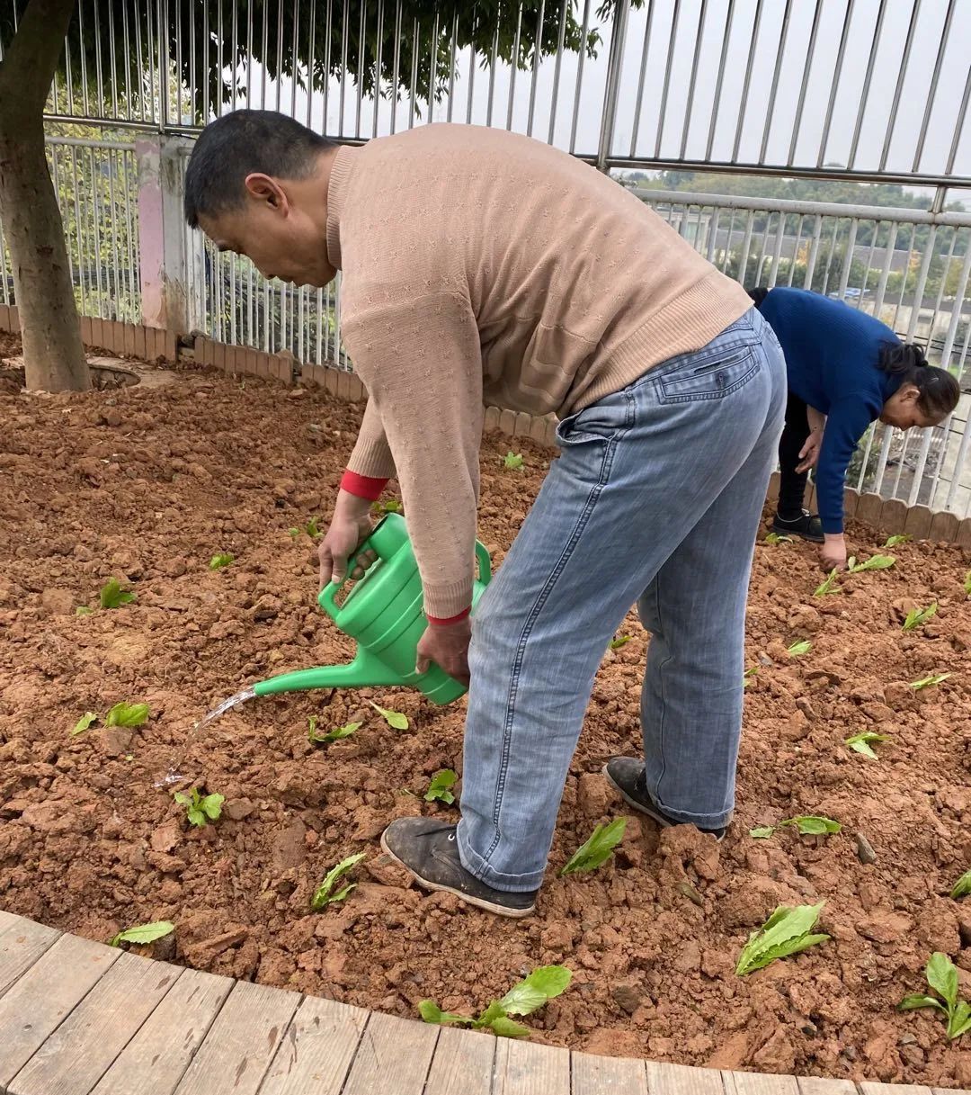 以劳动之名 收获成长之乐｜新兴小学开展“小农夫”劳动教育课程