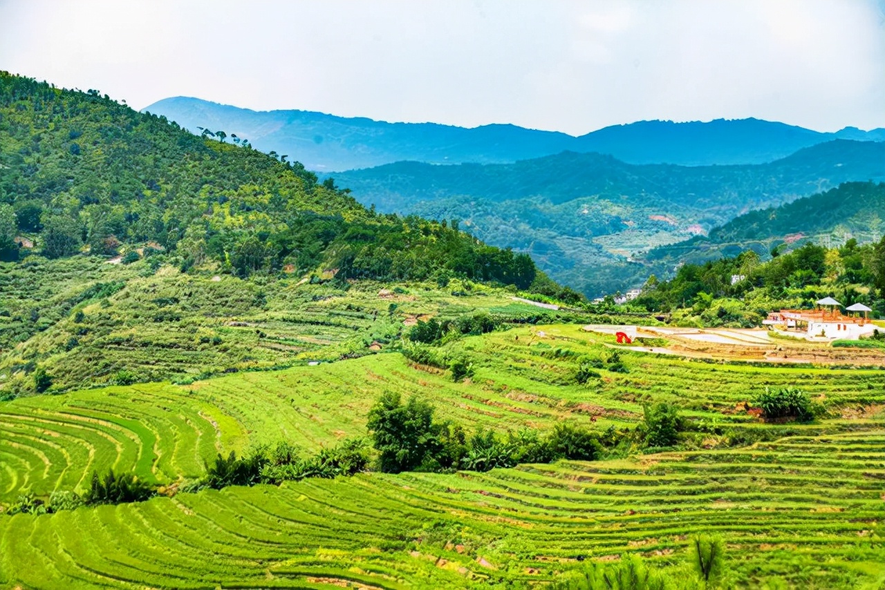 广东坪山梯田:深邃的山林,盎然的田野,带你领略诗情画意的美景