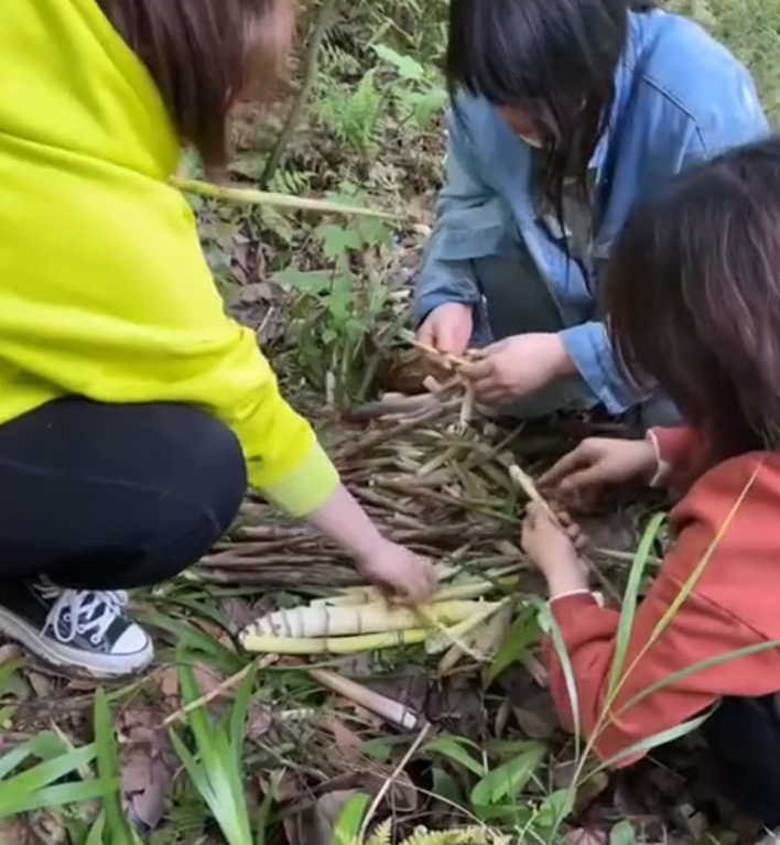 ����һ��ѧ�������У����ɽ��ѧ��&ldquo;̤ƽ&rdquo;�ҿ��֣��񶼱�������