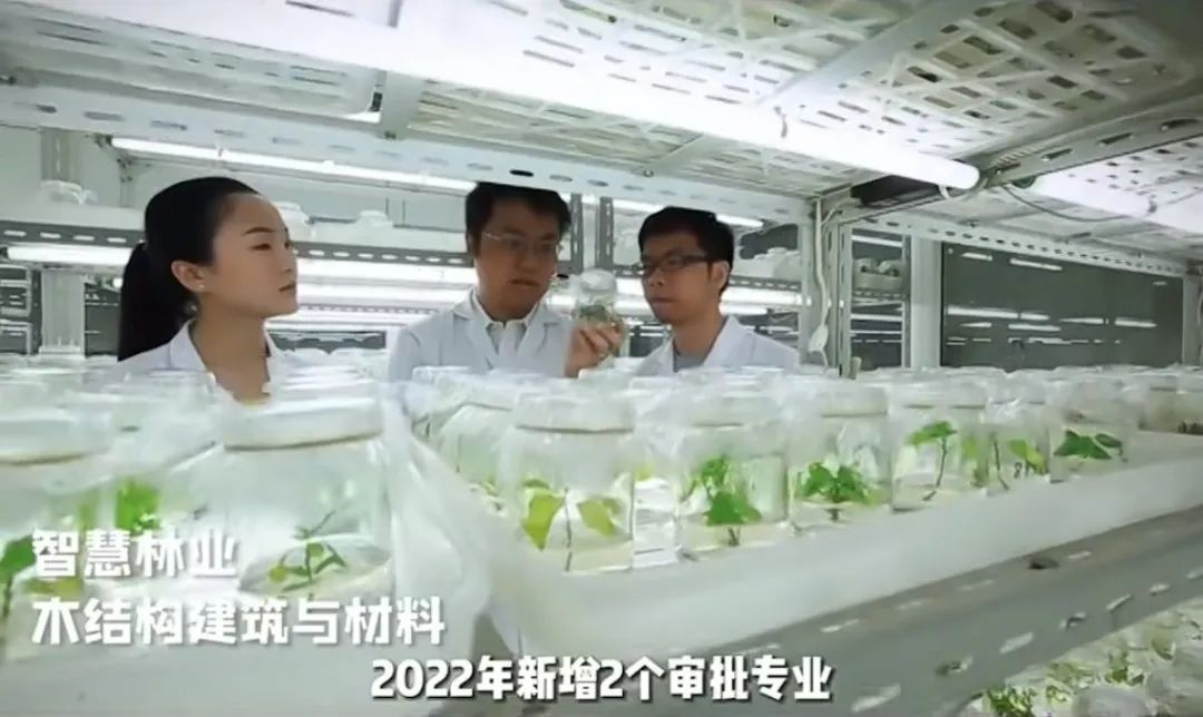 选择南京林业大学的十大理由！