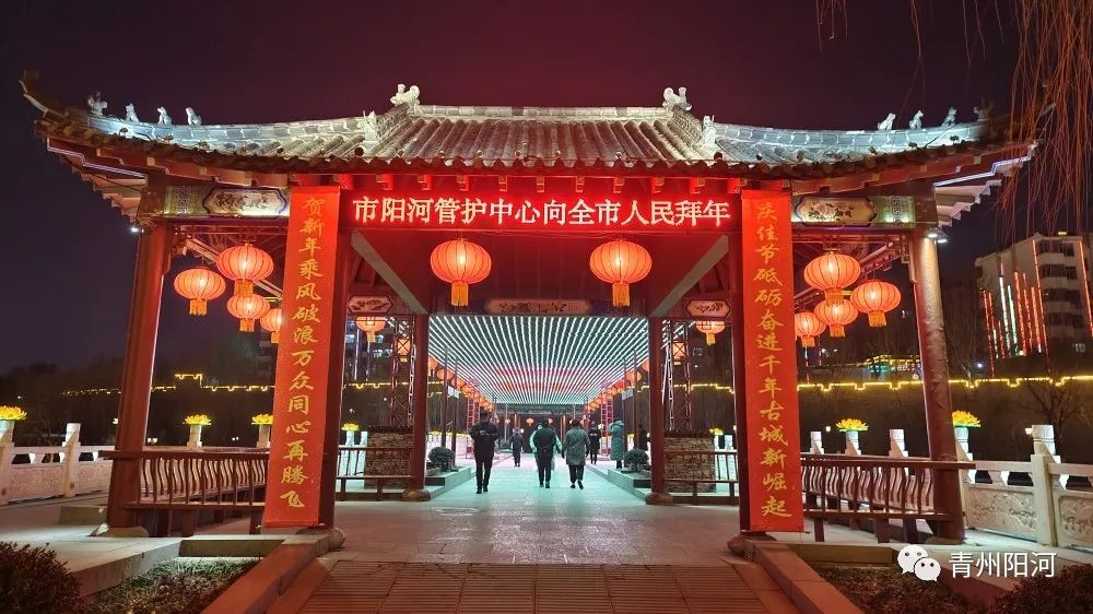“‘荷’美阳河 ‘和’润青州”| 市阳河管护中心邀您共赏虎年灯展