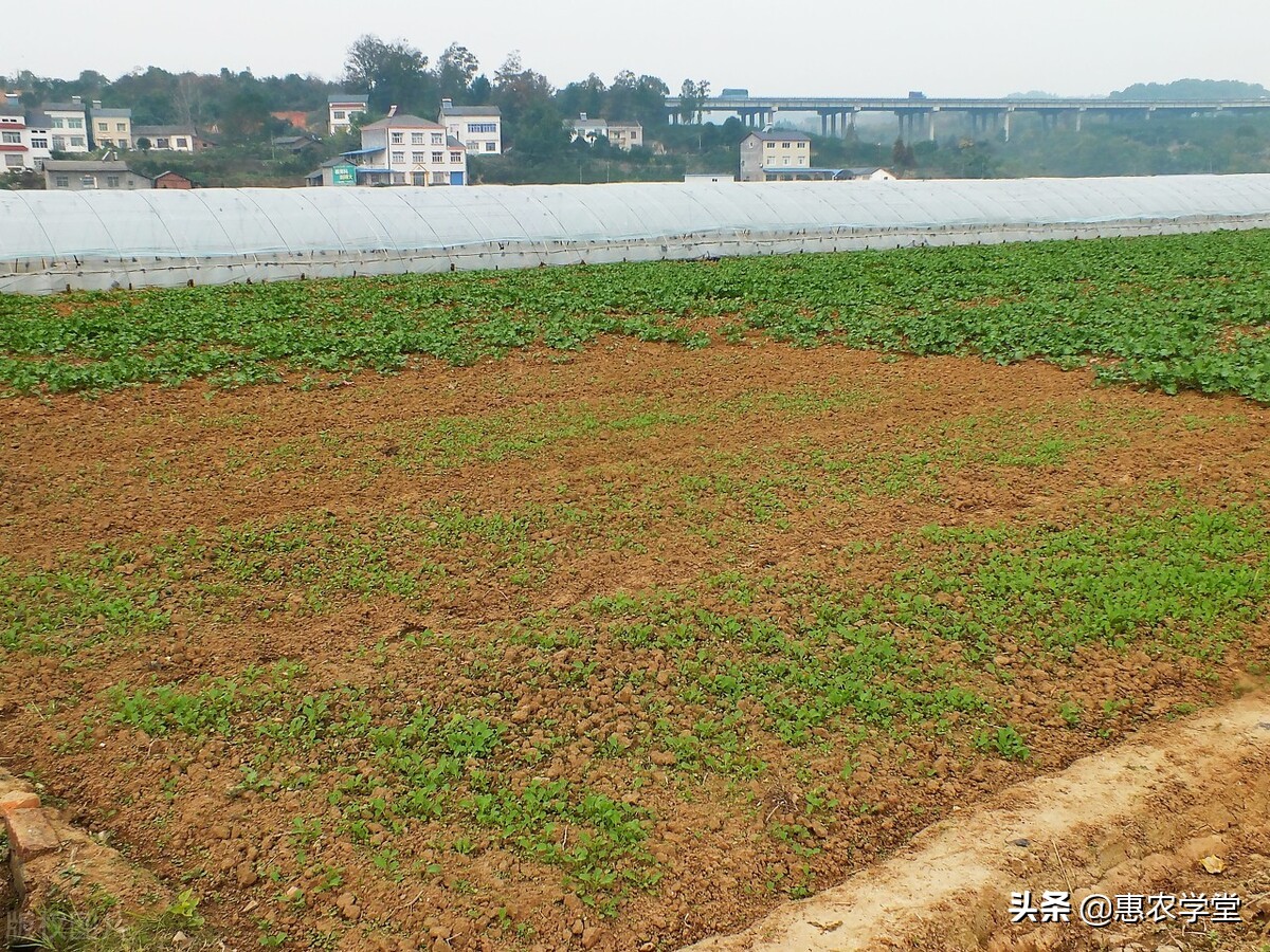 2022年农村土地退出有补偿吗？补多少钱一亩？怎么退？附最新规定