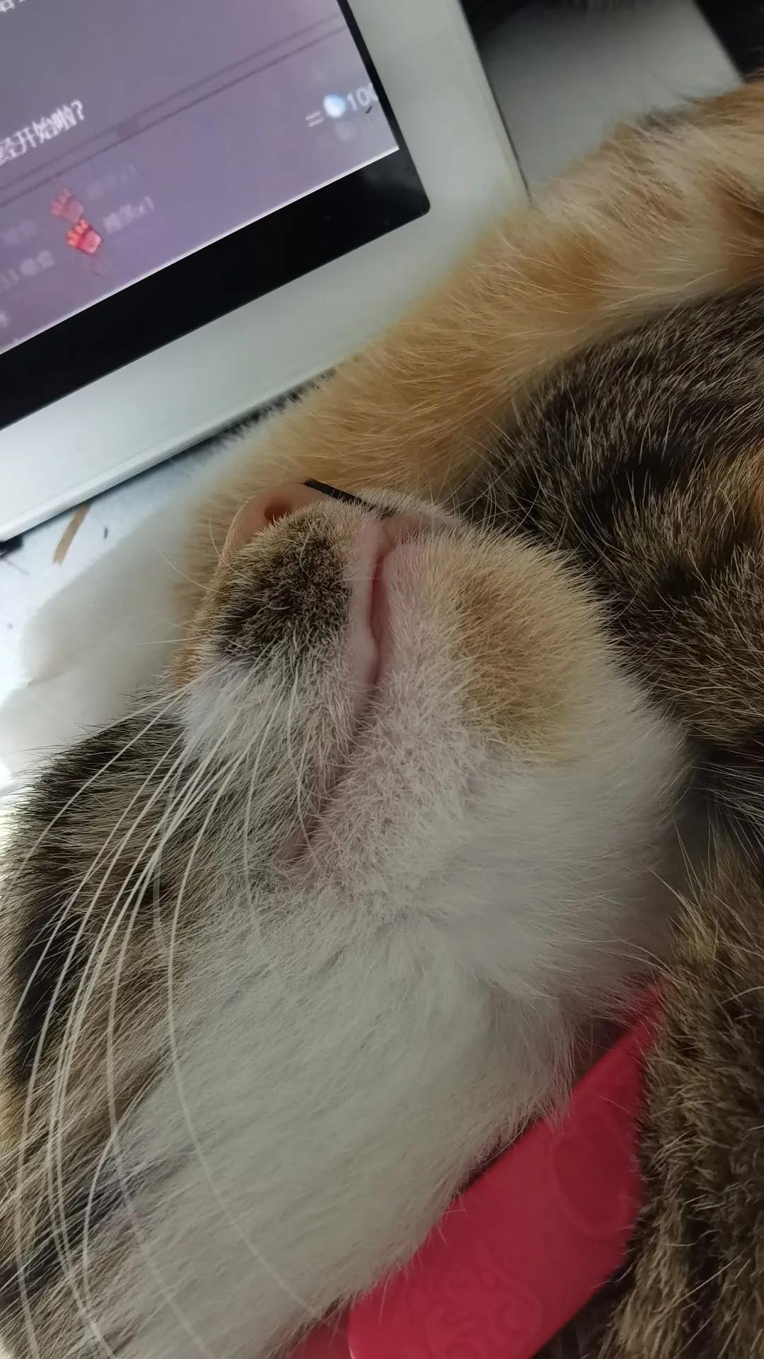 长大后才发现难忘的事不一定是快乐的，很可能充满了无奈