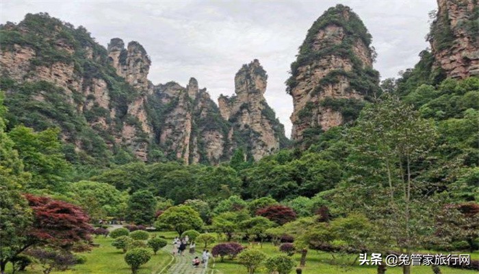 来张家界自驾游不能错过的一份超全攻略，错过太遗憾