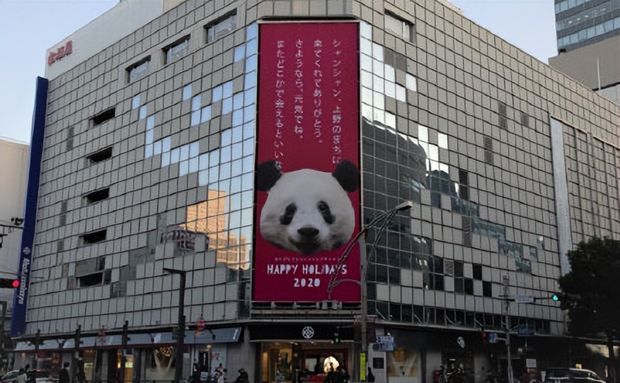 熊猫到底“俘获”了多少日本人？有人甚至要把遗产留给熊猫……