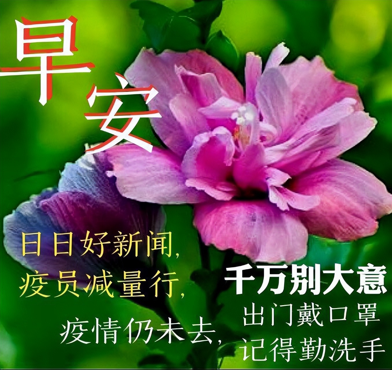 送上真挚祝福，铭刻永恒情谊；朋友，愿你快乐，早安