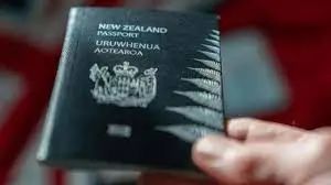 新西兰不仅牛羊肉便宜，居然最利于移民的留学项目，¥10万就能读