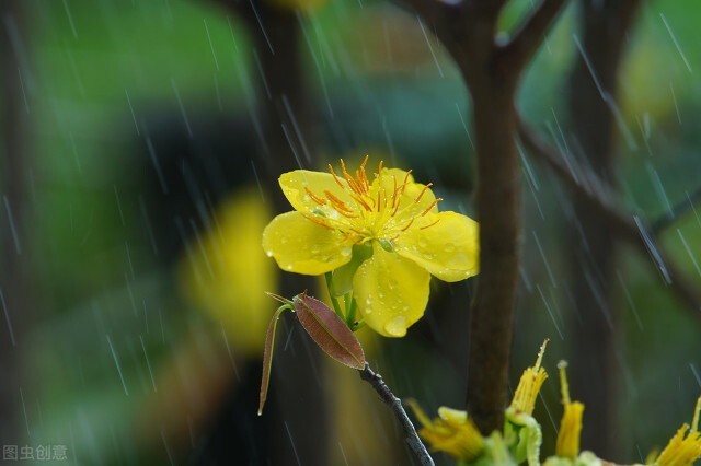 三月的雨 （现代诗）