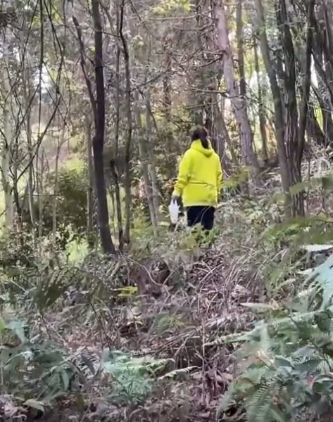 ����һ��ѧ�������У����ɽ��ѧ��&ldquo;̤ƽ&rdquo;�ҿ��֣��񶼱�������