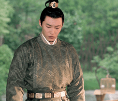 梦华录刘亦菲表情包